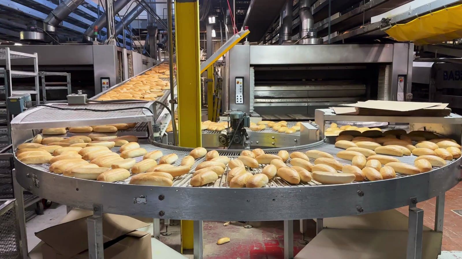 Automated packaging equipment line moving a carton on a conveyor