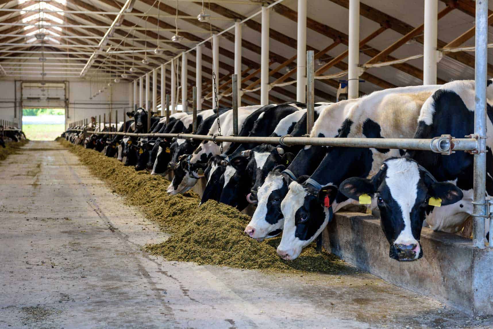 agricultural fabrication