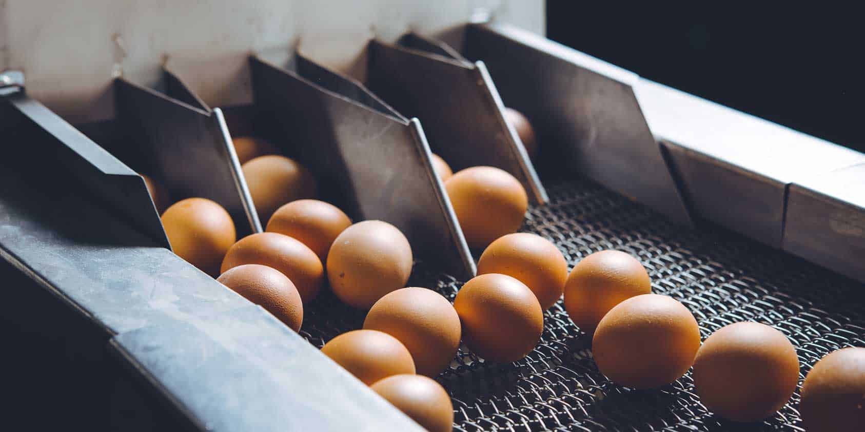 agricultural fabrication